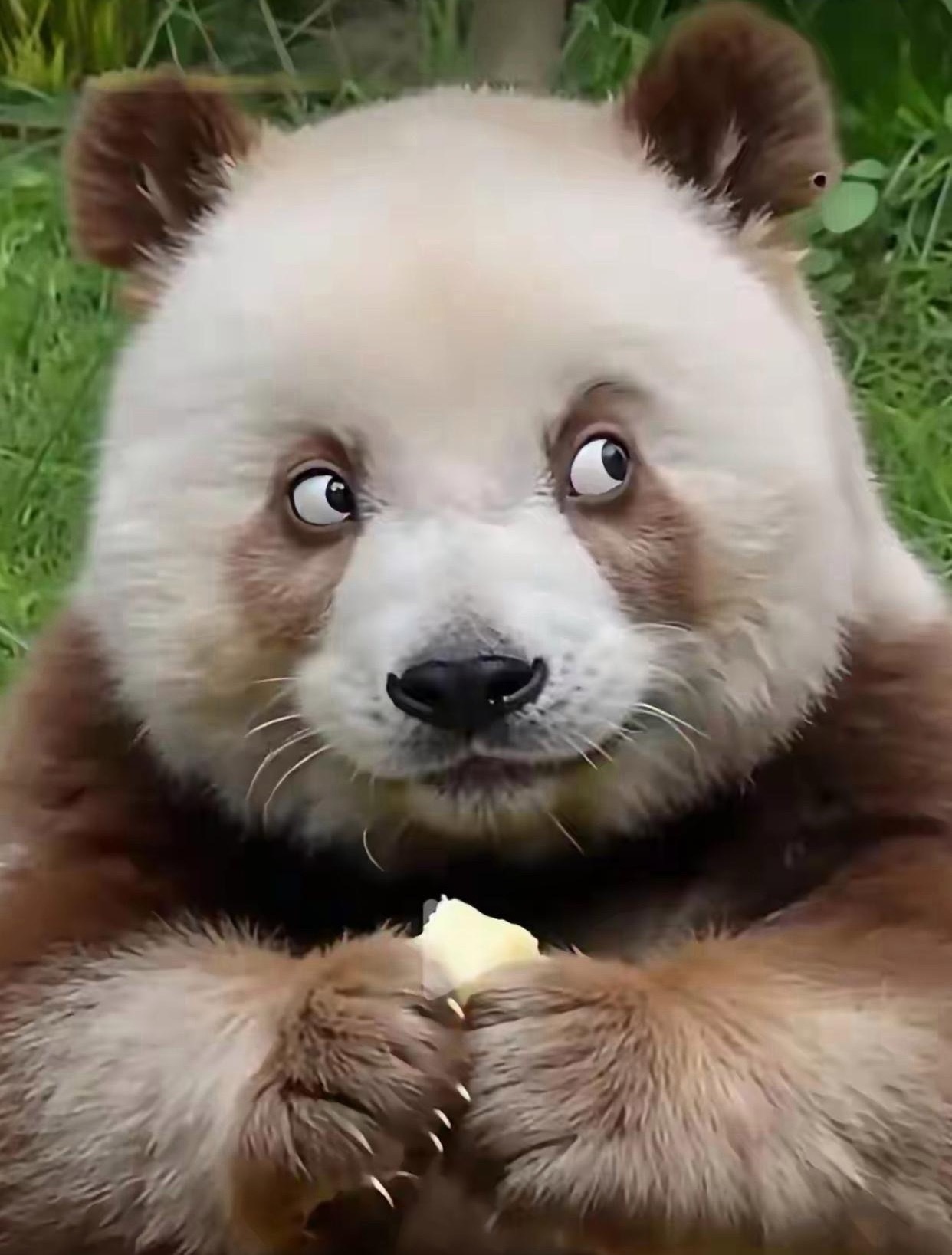 生物科技早上没操作没做踢，纳指昨天切了。后续等大跌再回来加仓，不跌就不做了，反正