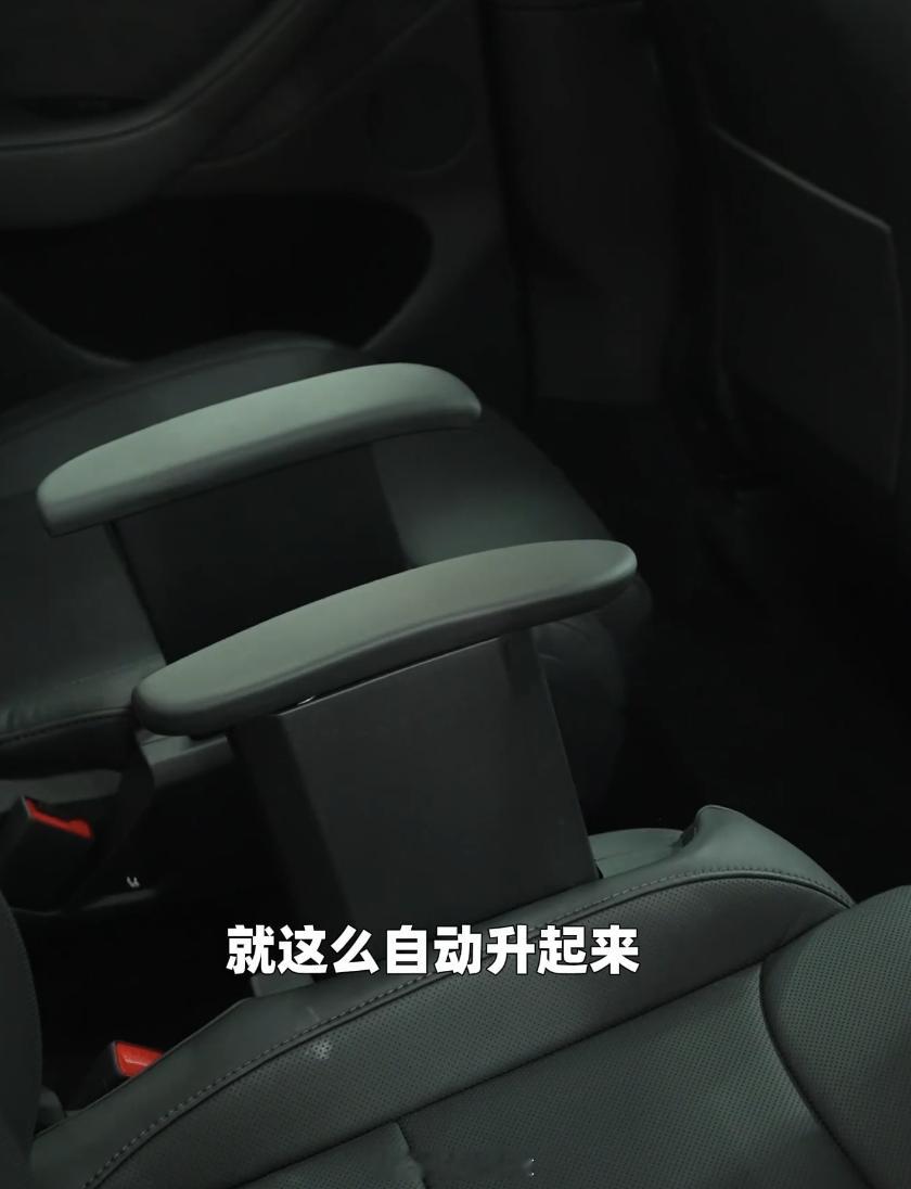 特斯拉modelyl 的二排和三排扶手都变成了电动升降式，好像在国产新能源品牌没