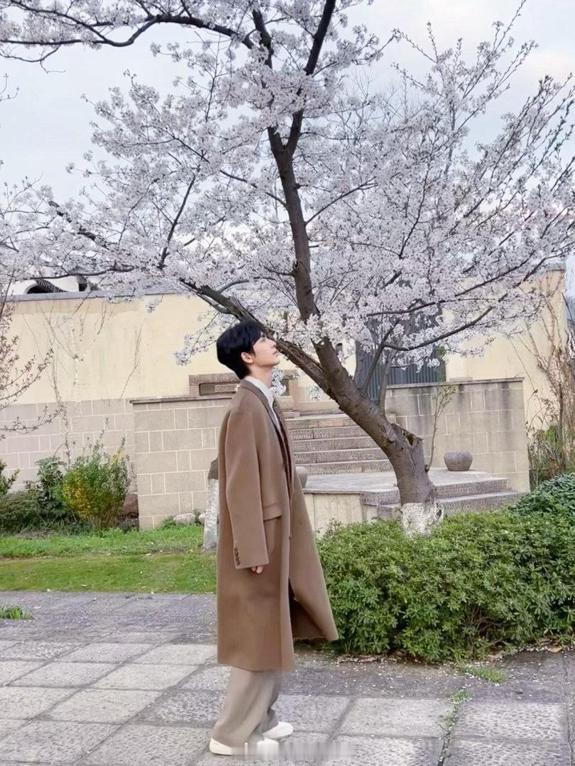 张凌赫14个代言包场线下全城大屏同步上线，多赛道代言集体发力，既能驾驭顶级轻奢格