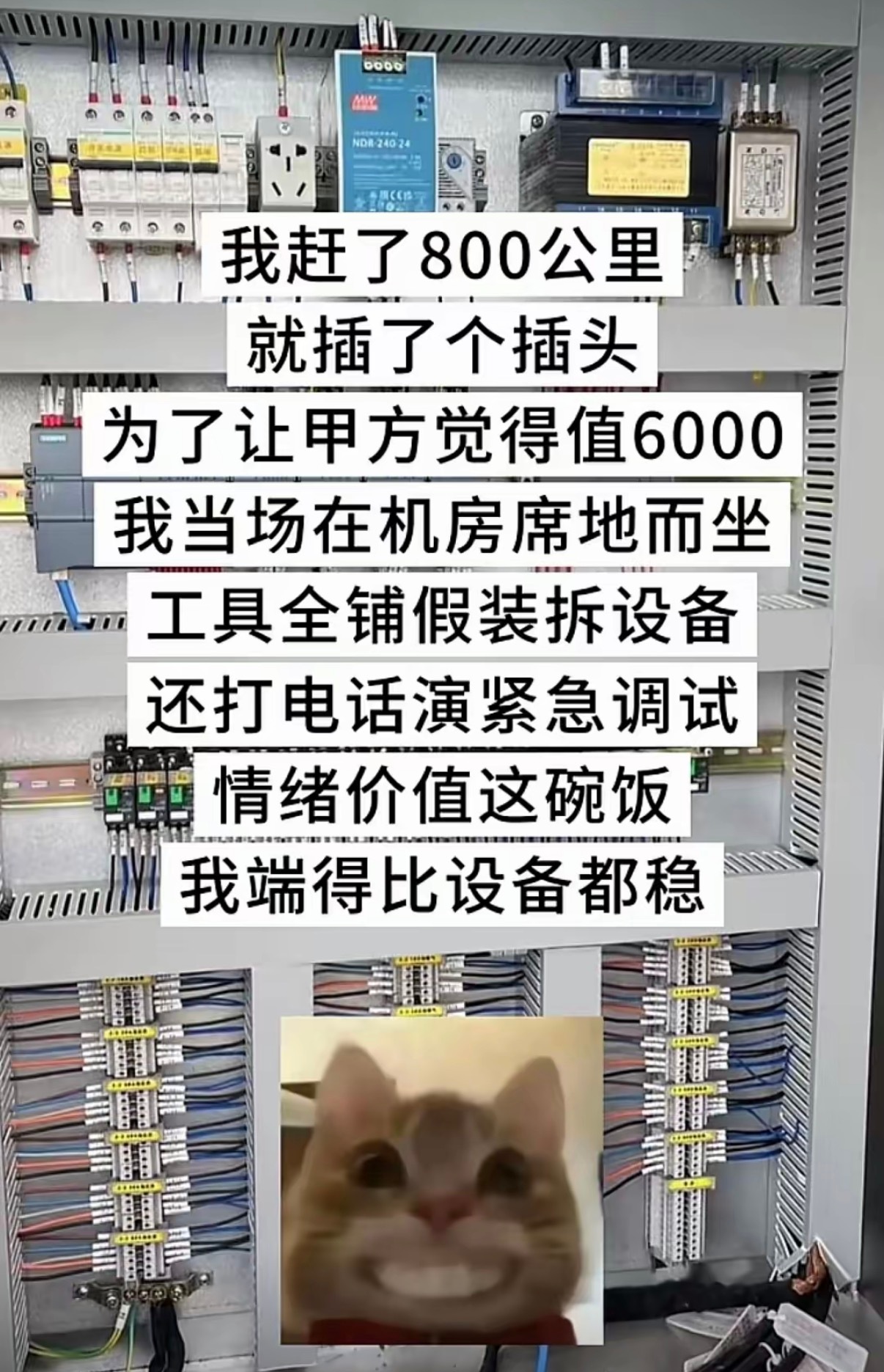 情绪价值这块 