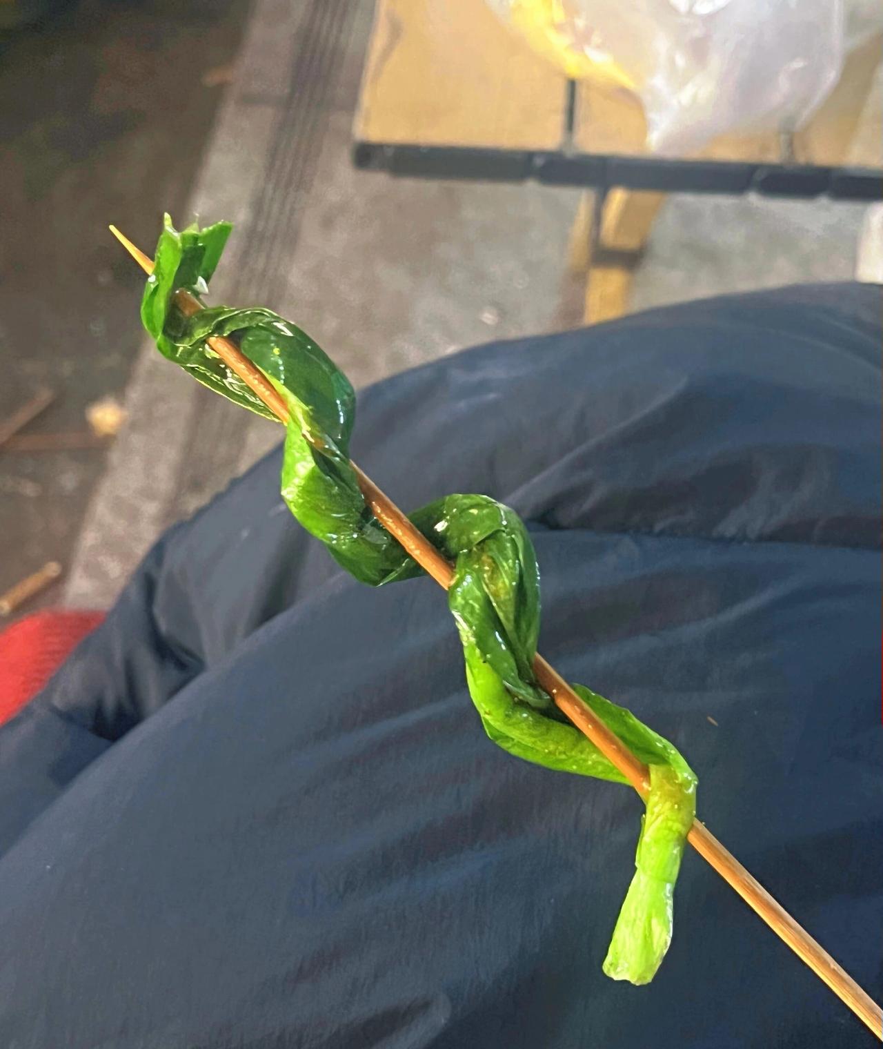 一根韭菜卖我两块，我是冤大头？？？