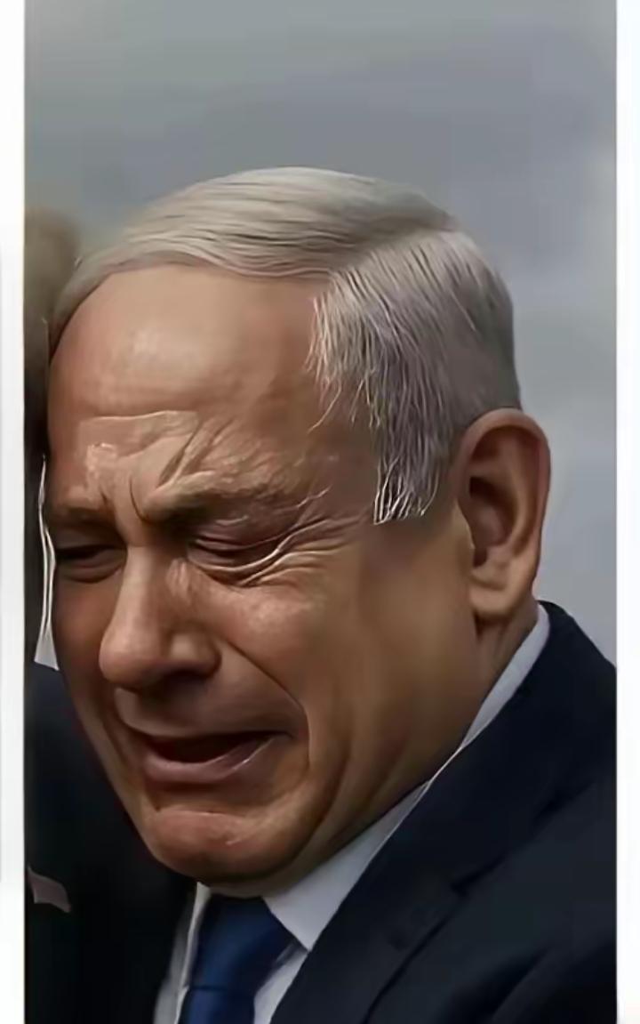 “以色列公布消息，
2026年4月11日，以色列驻美国大使公开宣布了一个让人目瞪