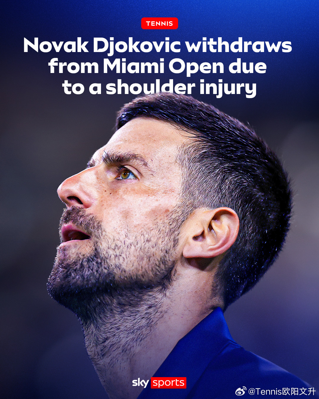 🇷🇸德约科维奇因肩伤退出迈阿密㊗️你鸡早日康复德约科维奇