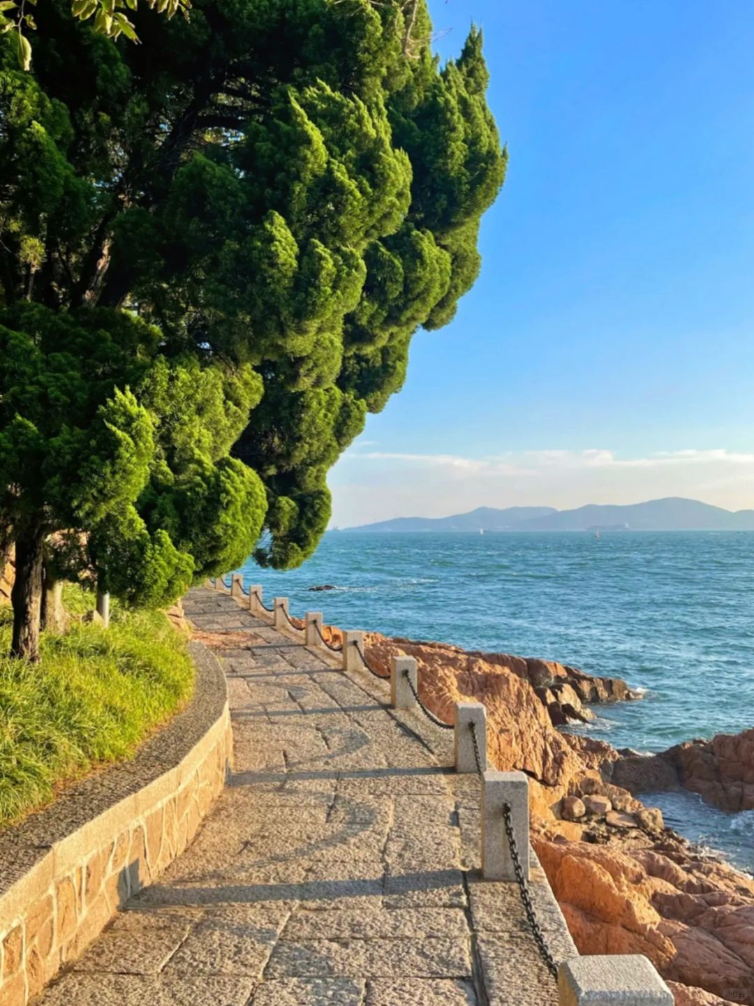 谢谢柳俊烈给的自信，我现在摄影强的可怕💪