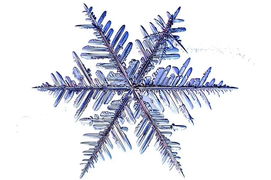 标准的雪花——薄薄的六角平板状。除了六边形薄板，它们还可以长成长长的六边形柱，就