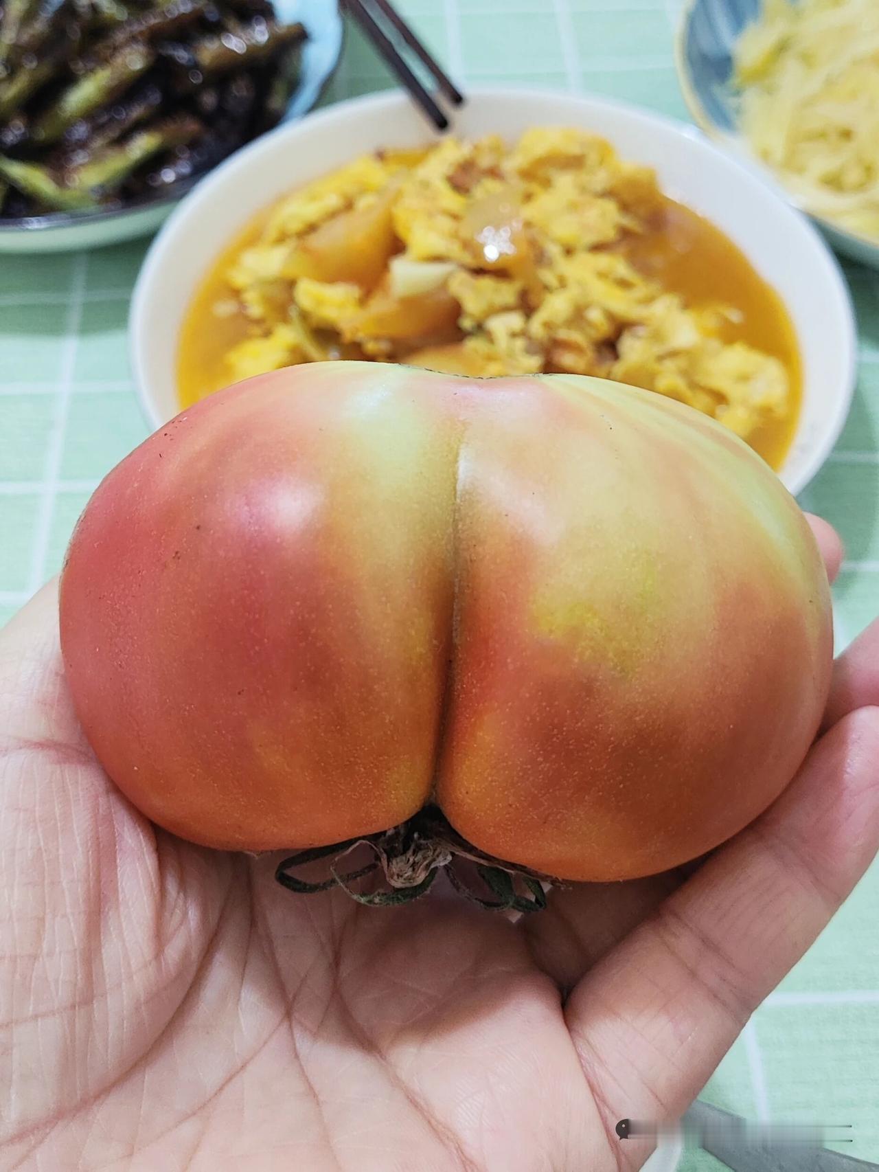 绿色的西红柿能吃吗
今天的西红柿炒鸡蛋
有点绿

因为买的西红柿它是绿色的
还没