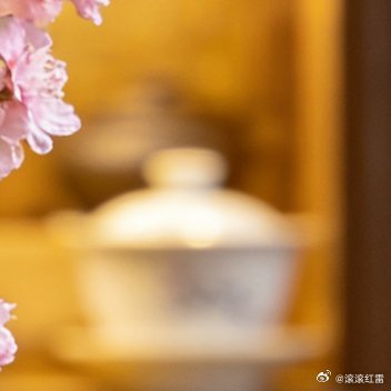 回家路上顺手折枝花，往空花瓶里一放，瞬间有了家的烟火气，春天真的太治愈