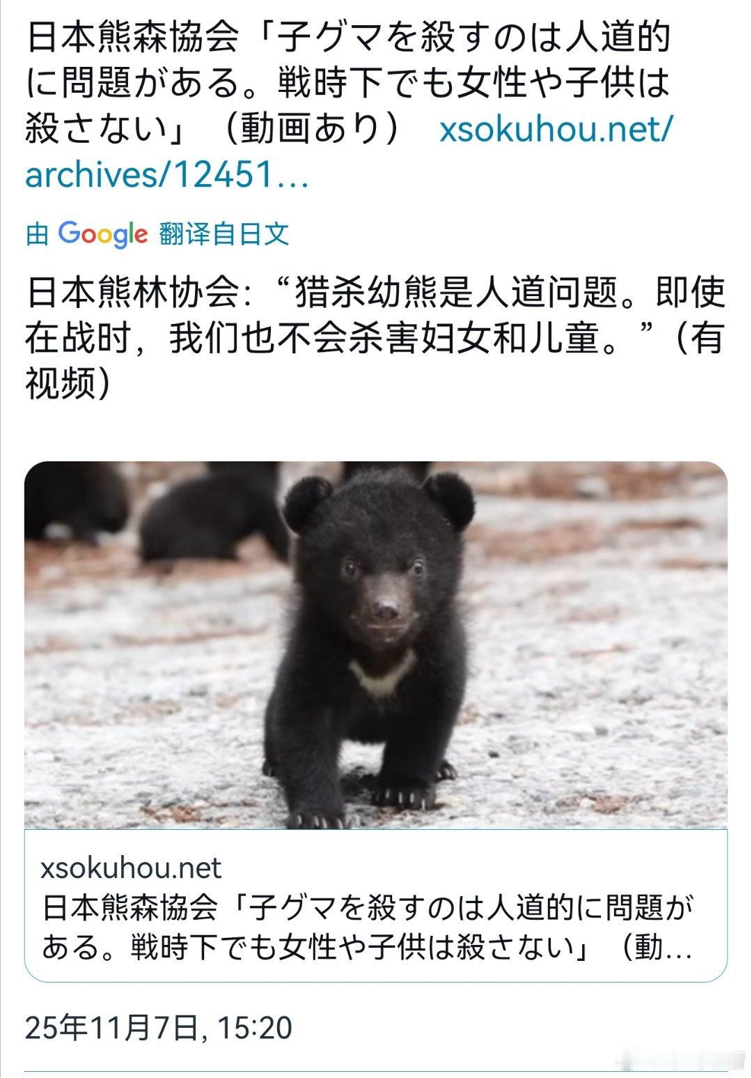 论日本人的无耻日本熊林协会：猎杀幼熊是人道问题，即便在战争中，我们也不会杀害儿童
