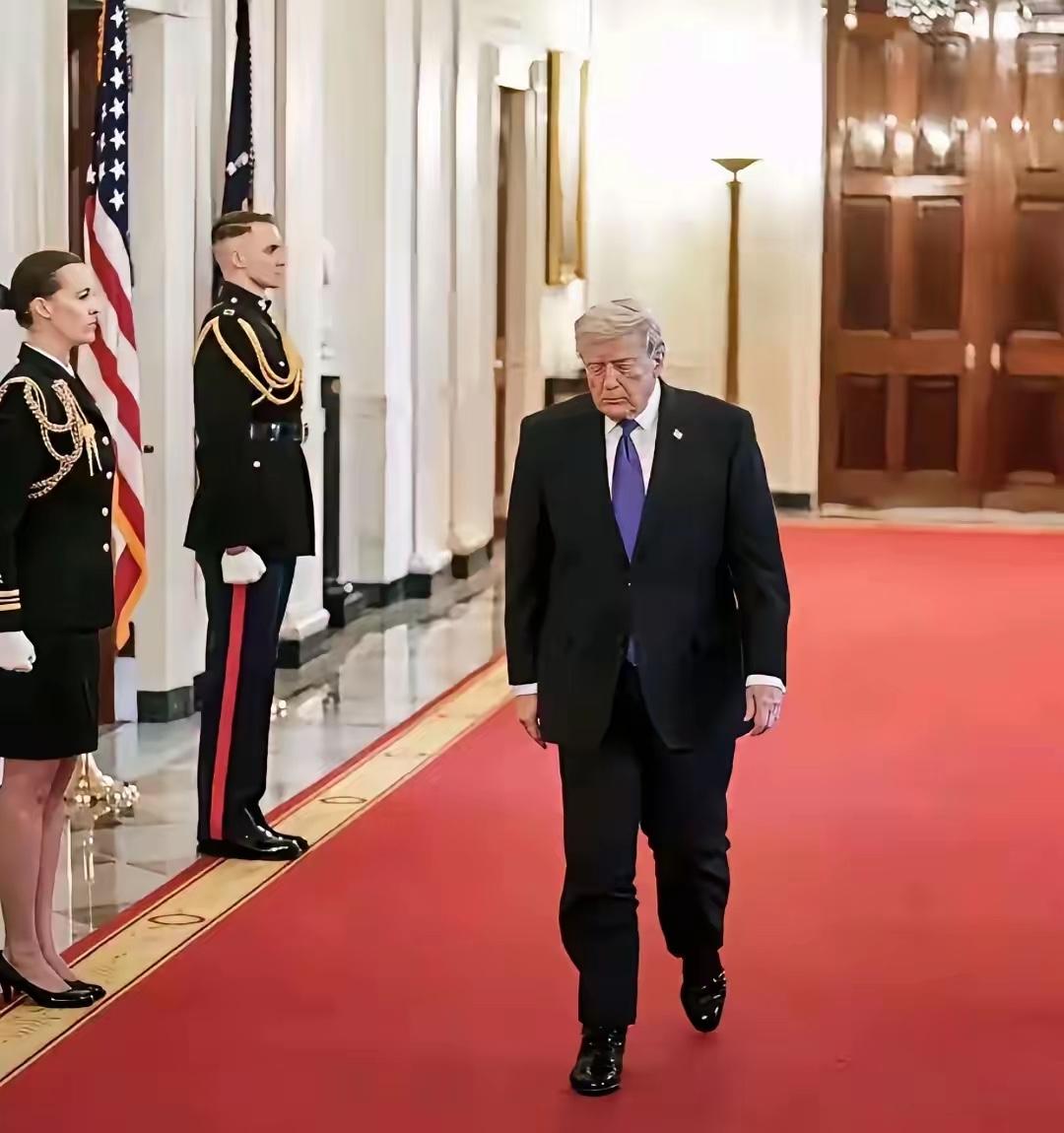 美伊战争每天都在引领着大家的心弦，就连奥巴马都说，每天醒来都能看到以前想象不到的