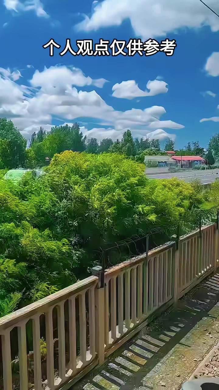 全国各地突然冒出一大批神秘老板，专门跑到农村找农民包地。这些人出手比买白菜还爽快