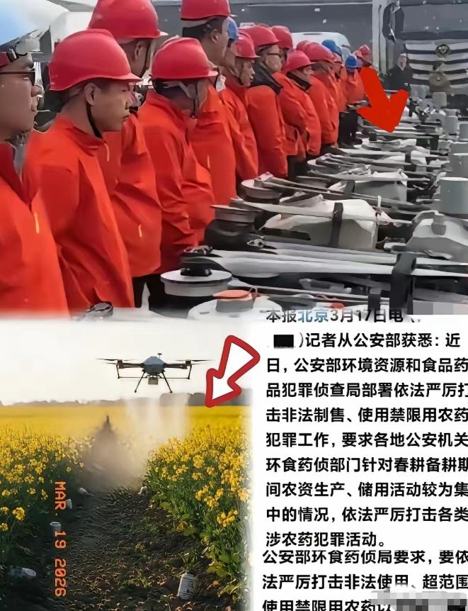 这次严查真是大快人心！有些人穿着红工服，操控无人机，专挑油菜花盛开的时候乱喷农药