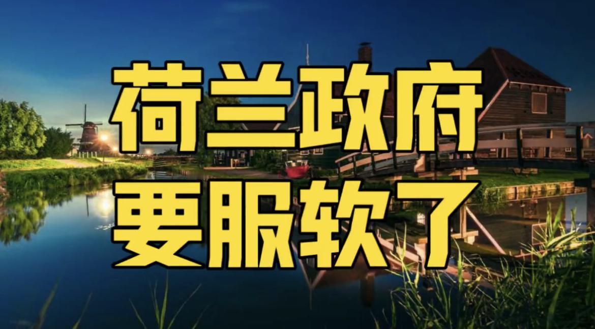 荷兰原以为靠光刻机和盟友能把中方“拖服”，结果拖到最后，自己倒成了没人管的“弃子