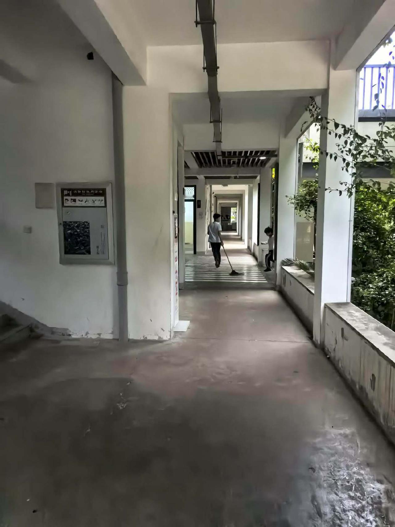最爱劳动的人
如果哪一天我把倒垃圾的工作承包给他，他会开心到起飞，可我都舍不得把