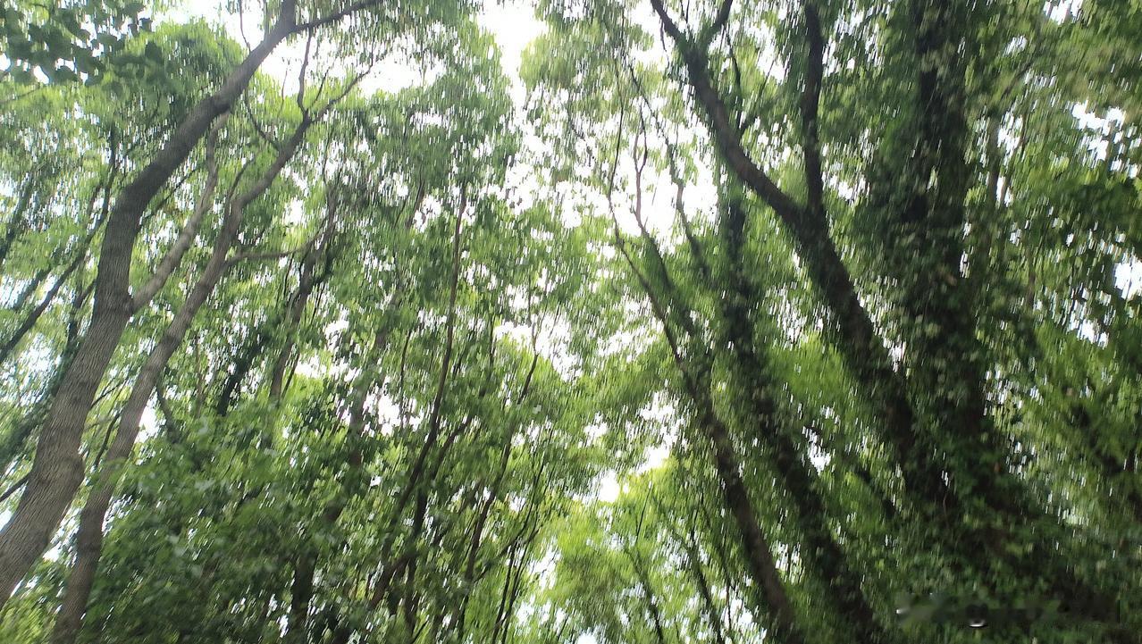 这一个南头，一个北头，能成功吗？阿丹皮肤白白的，鼻子高高的，长相一般，已经37岁