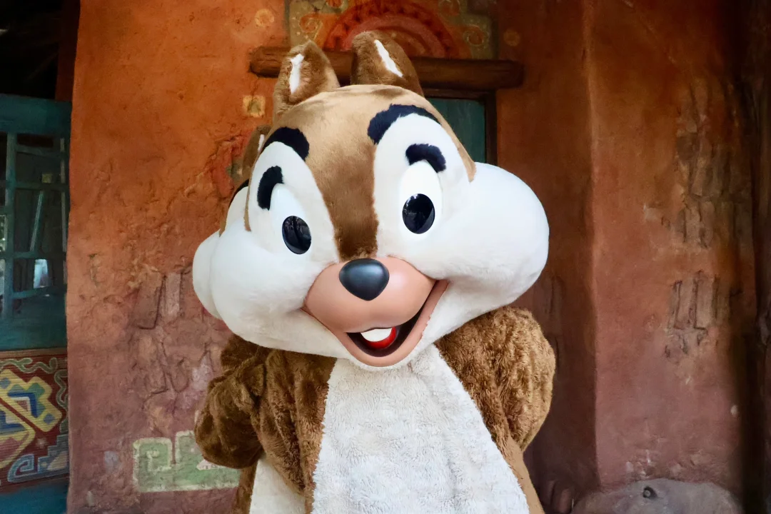 ❤️奇奇蒂蒂小可爱❤️可可爱爱