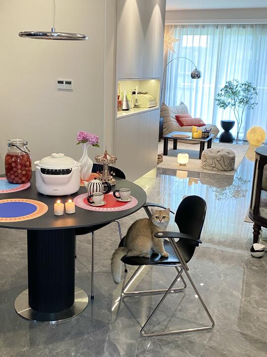 29岁独居，终于把梦想中的家🏠变成了现实～