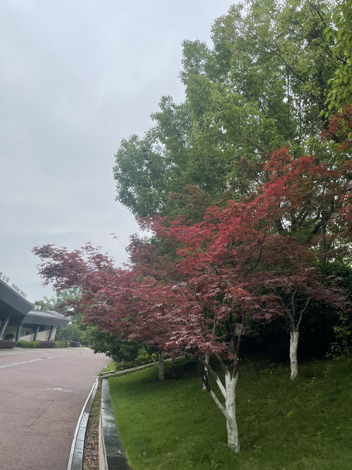 我的今日状态：💪🏻充满干劲
我这里的天气：🌤️多云