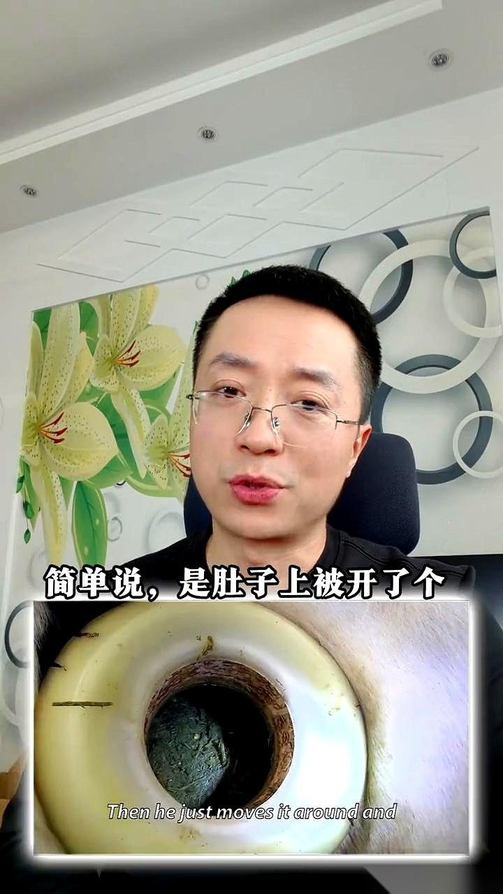 在牛肚子上开个洞，还伸手进去掏东西。
别急着骂，我第一次看到也觉得头皮发麻，这不