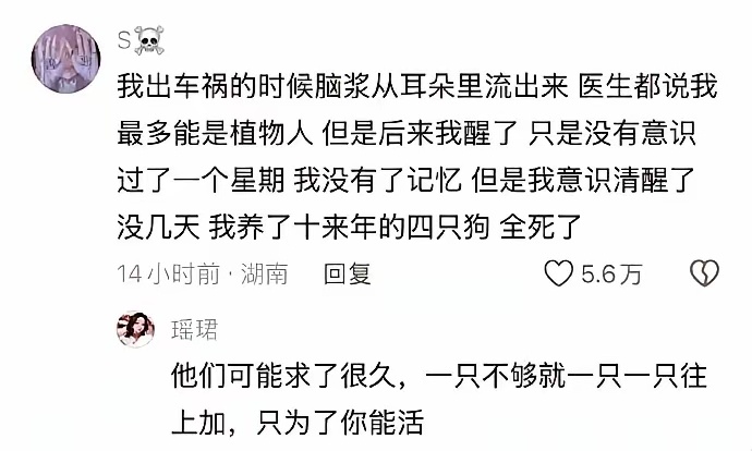 不感谢救ta的医生，感谢狗[无聊] ​​​