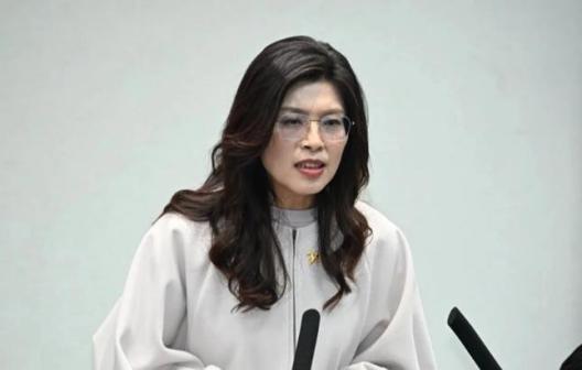 郑丽文不装了，这次九合一她压根没想过要全赢！这位女掌门现在的战略只有一个：输得体