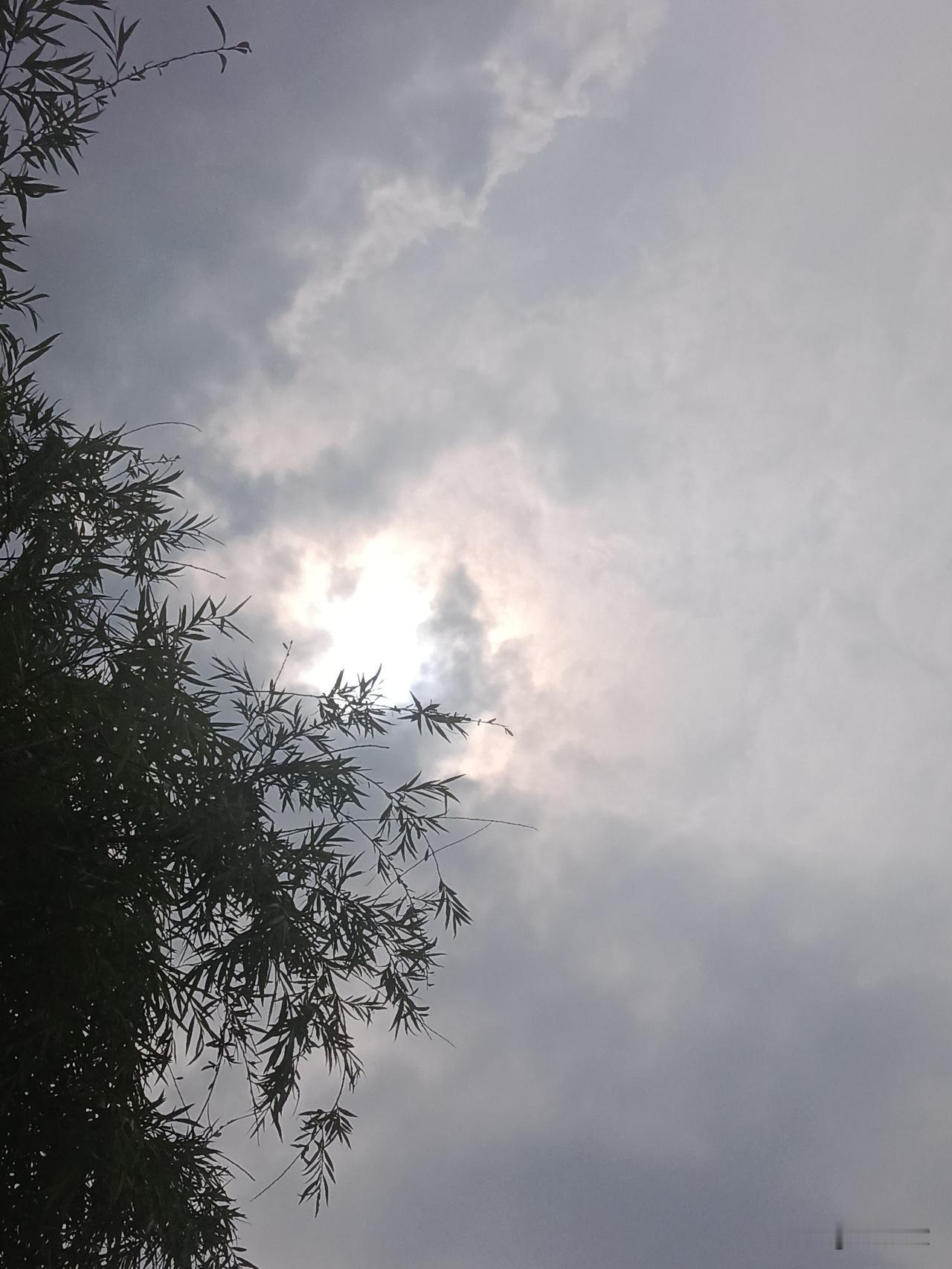在学术打假方面，我还是相信耿同学的。他曾说过理科打假，很好办，因为它有标准。但文