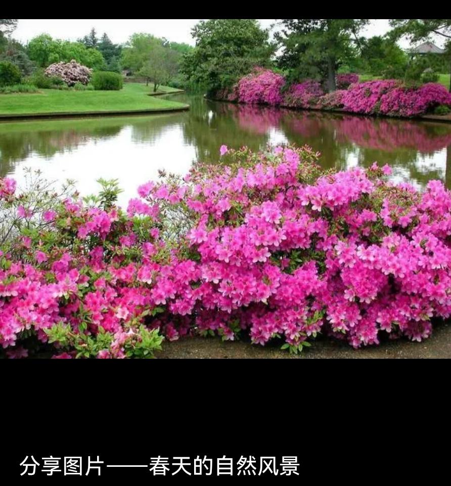 春天来了，万物复苏，草木抽芽，花开遍野，暖风轻拂，处处生机盎然，美好又温柔。