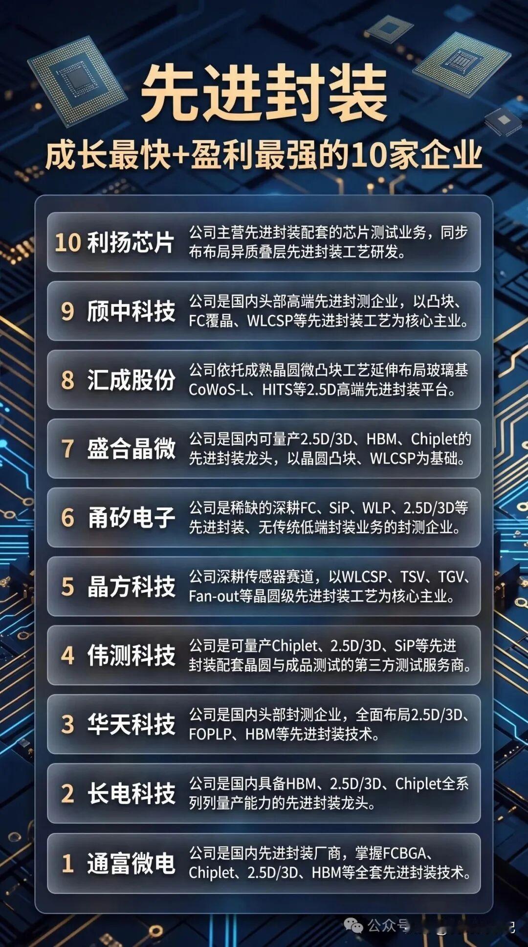 先进封装
成长最快+盈利最强的10家企业