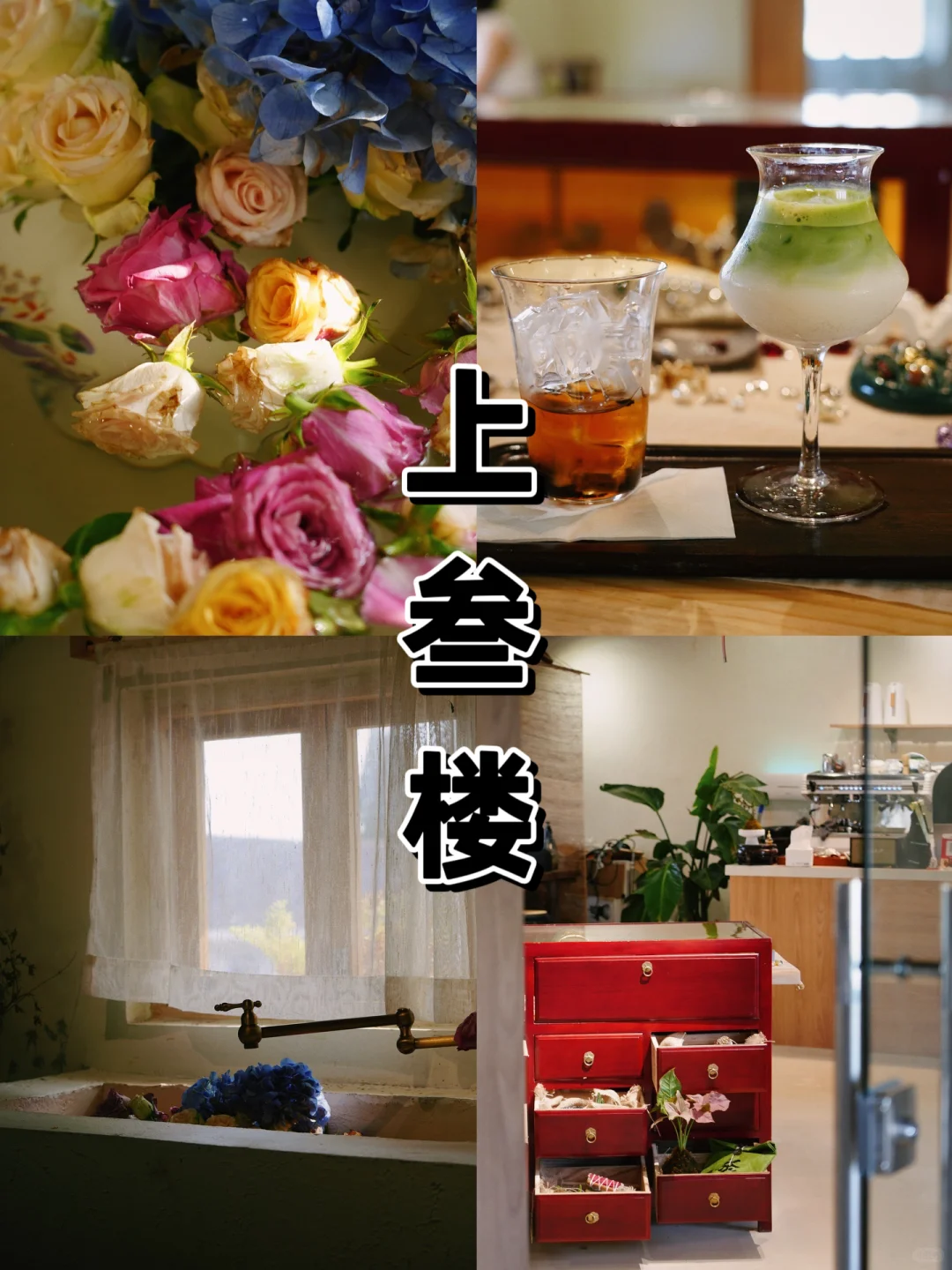 苏州｜为一池盛放的鲜花而来💐