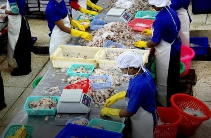 缅甸渔业管理司发布的消息，缅甸在2023－2024财年（即从2023年4月1日至