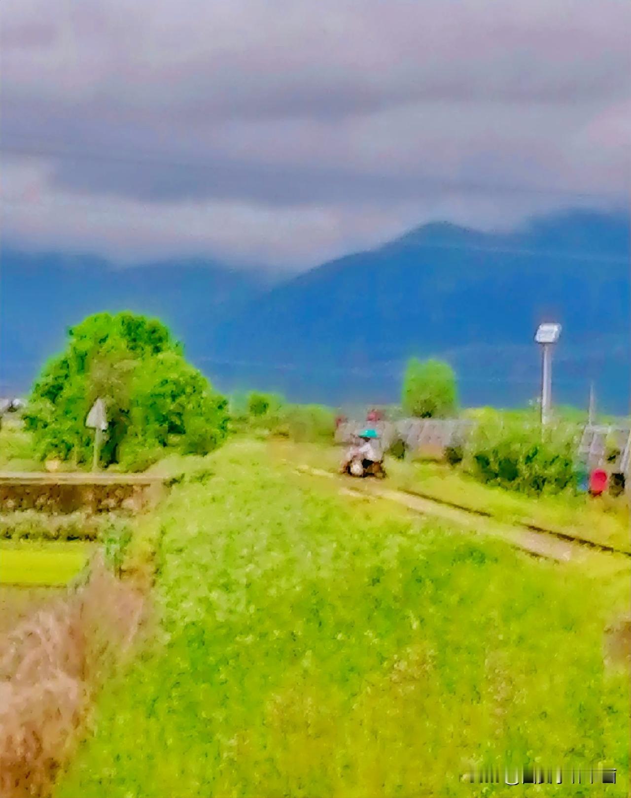 《老旧铁路（李林摄于汉中城固）》