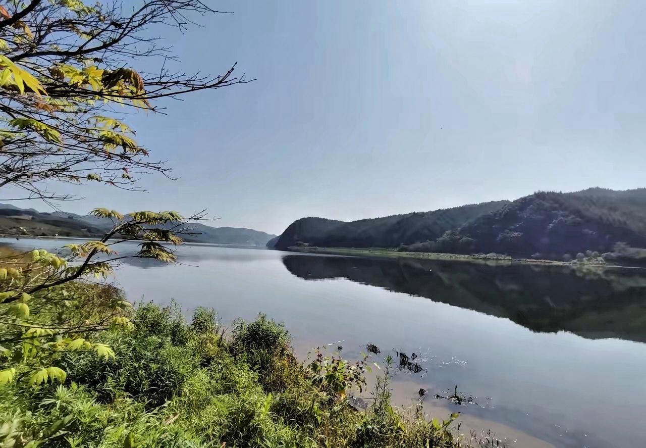 中国由于去日本航班取消，在日本旅游的人回不来。这个一点都不用可怜他们，上海不是有