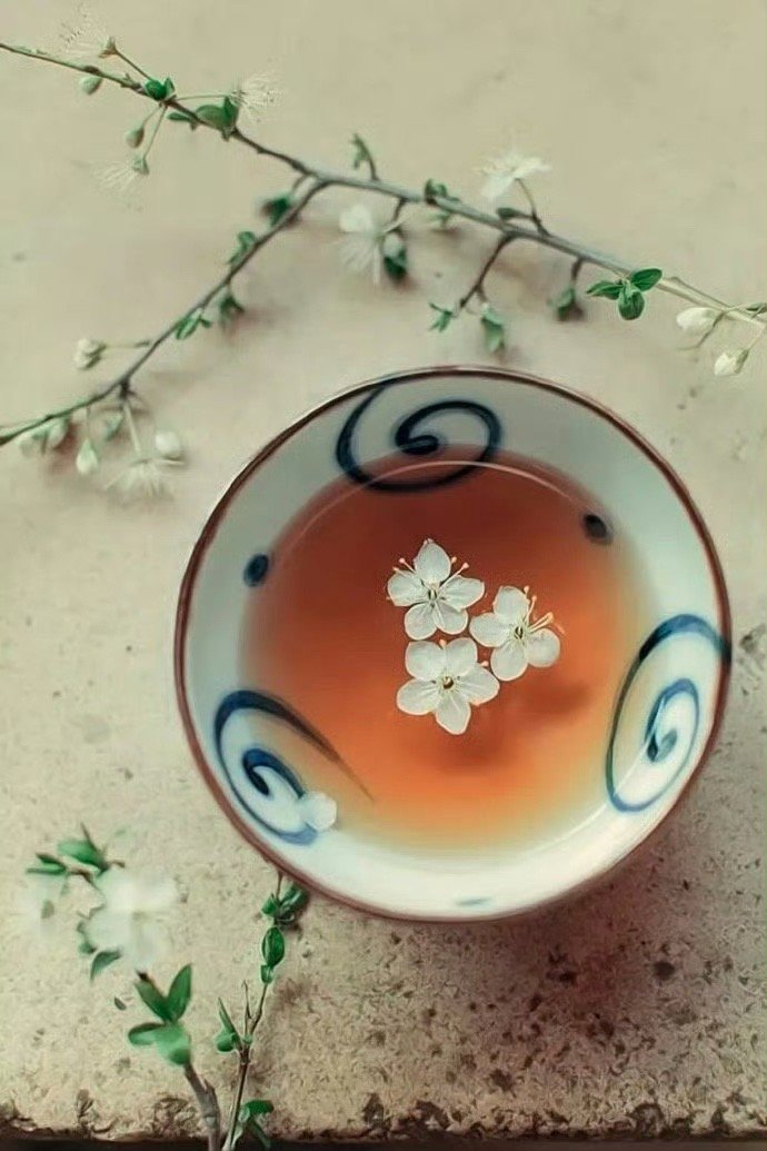 人生需要准备的，不是昂贵的茶，而是喝茶的心情。     ——  林清玄 