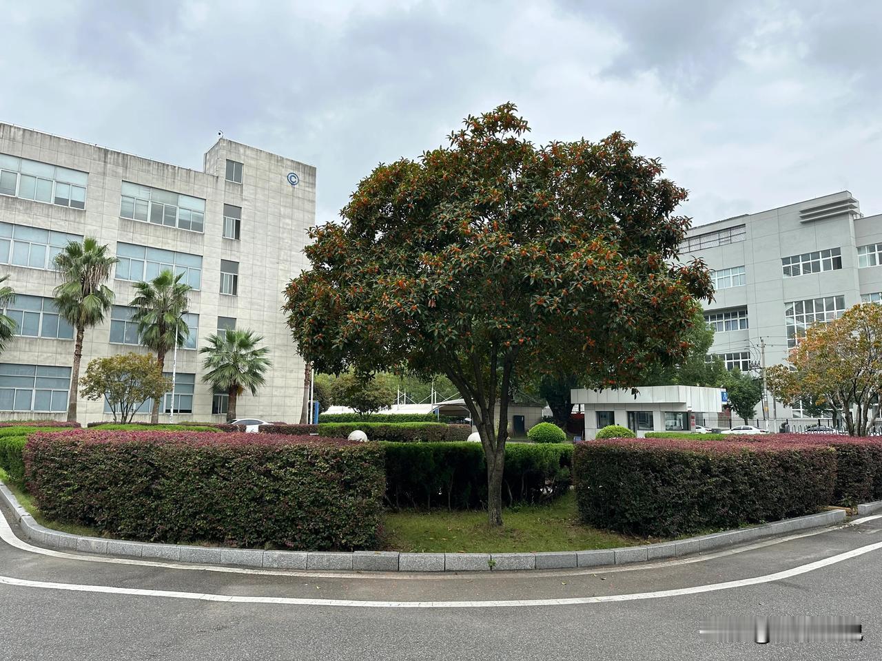#上联：清清楚楚不清楚，求下联？#
  下联：模模糊糊不模糊。