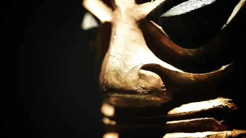 成都博物馆，就像一颗镶嵌在天府广场西侧的明珠。这座“金镶玉”的现代建筑，一年能接