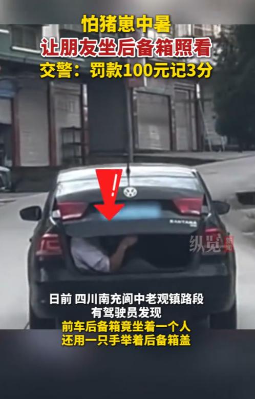 “有够离谱的！”2025年7月，四川，一男子买了一个猪崽子，放在了后备箱，然而，
