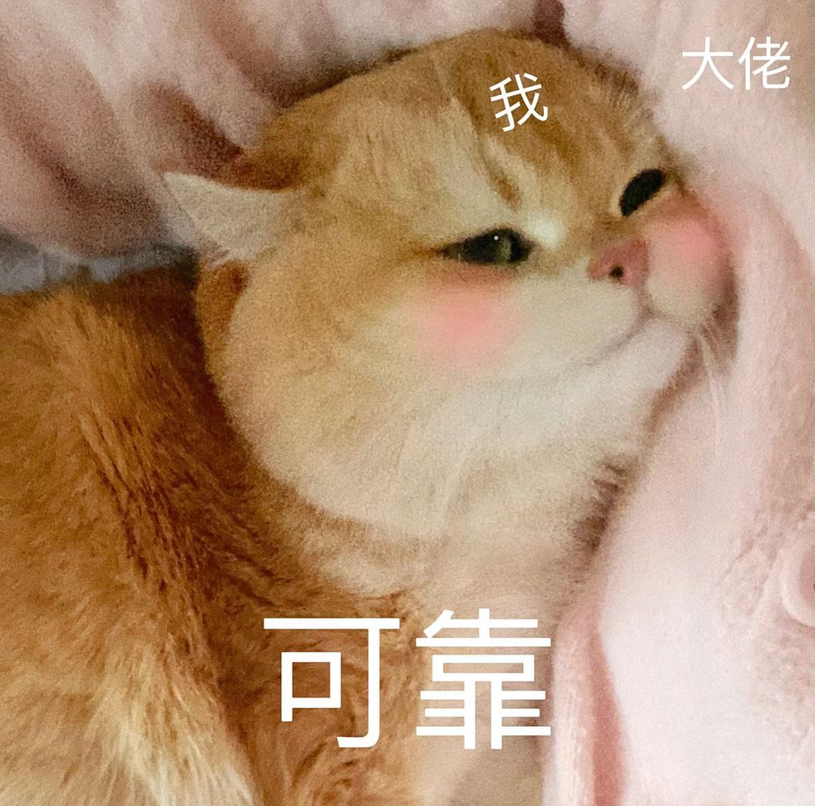 ⭕ 260328 迪丽热巴 《白日提灯》贺思慕☽ 自修动图小合集0️⃣预告▷官博
