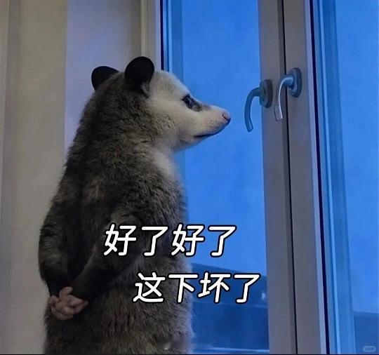 刚子打破了差一场的魔咒。这下好了昨晚差两场！！等我研究棒子和小日子兄弟们每日足球