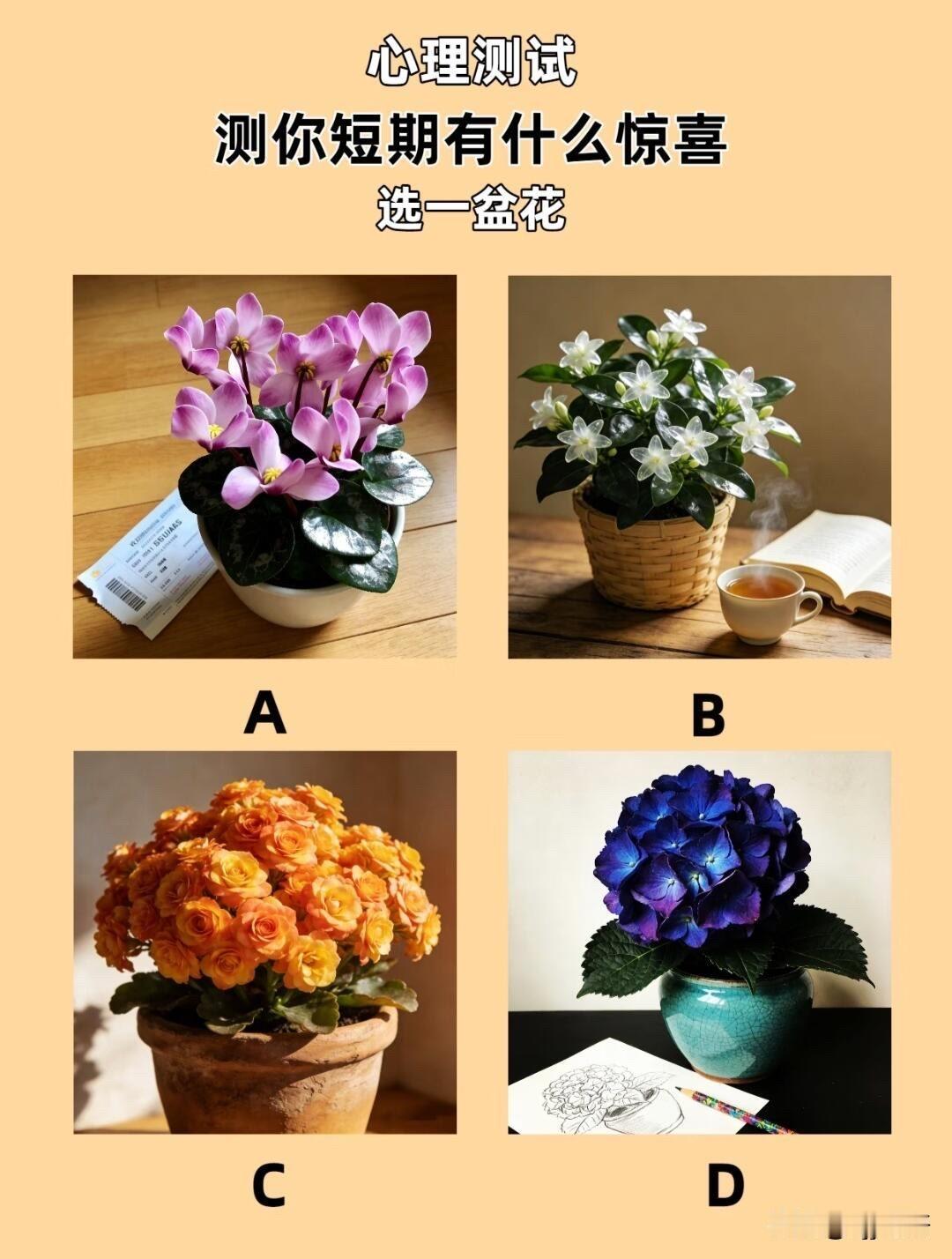 测你短期有什么惊喜
选一盆花
