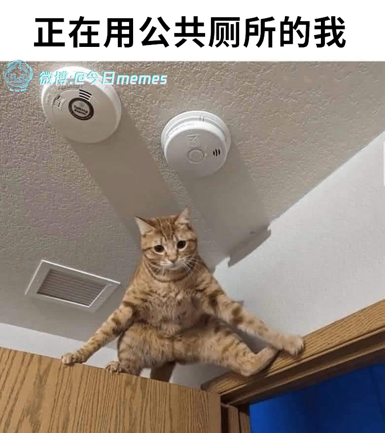 架！（9gag）今日meme[超话] 今日memes ​​​