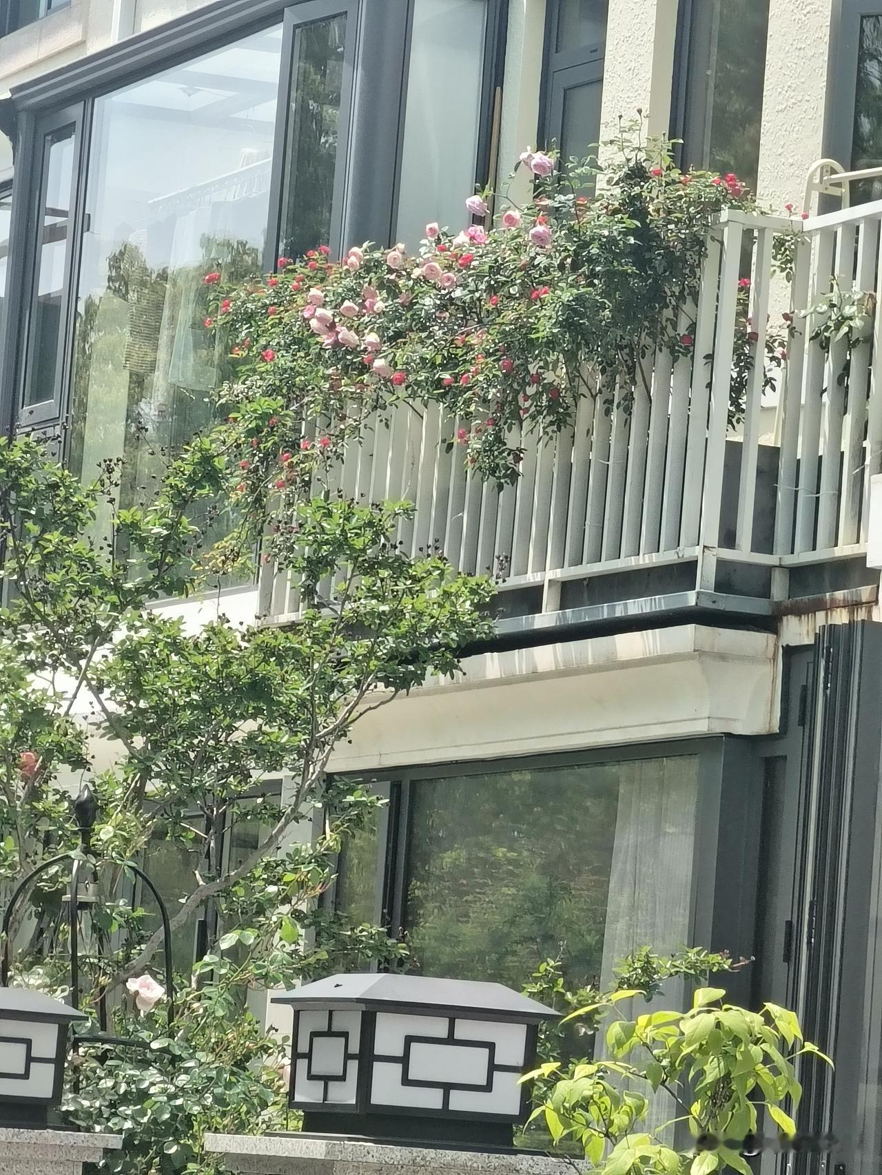 粉丝越来越多了，以后给大家评论点赞也做不到了。太累了，不点了，耗费我精力。
评论