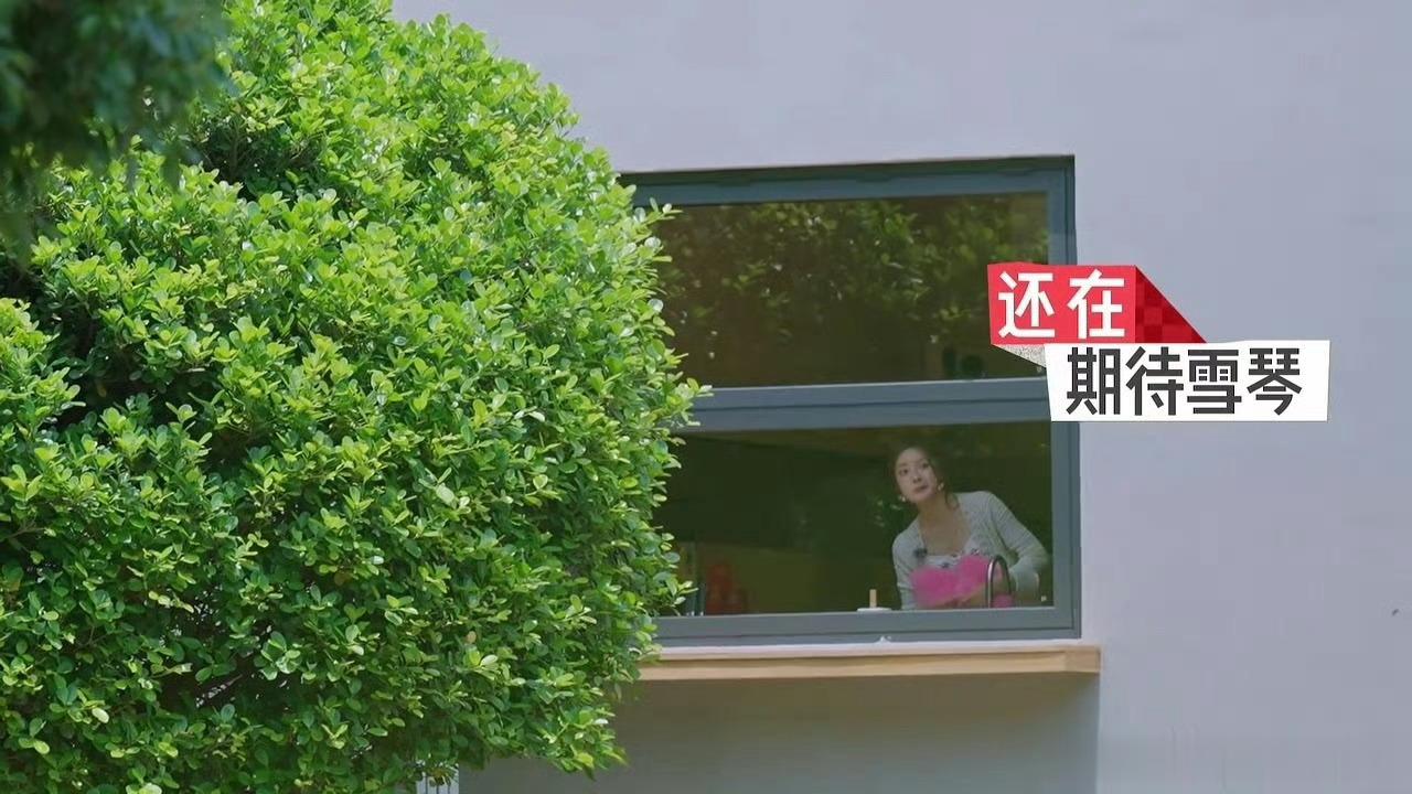 李雪琴徐若晗救赎文学照进现实了淋过雨的李雪琴为徐若晗撑伞了第二季的雪琴还在说“心