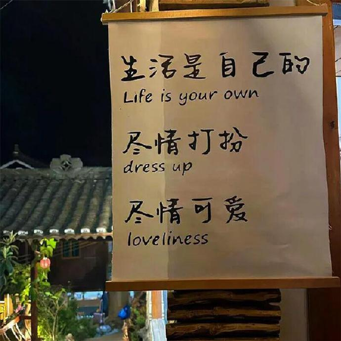 🌸 𝑵𝒊𝒄𝒆⸝દ ᵕ̈ ૩“各有各的渡口，各有各的归舟” 