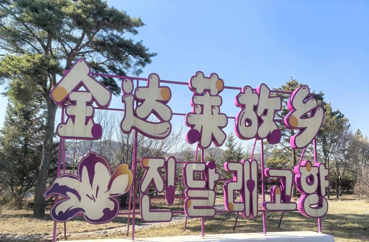延吉金达莱之乡：赴一场春日花海与民俗的约会

春风拂过，延边大地便被漫山遍野的金