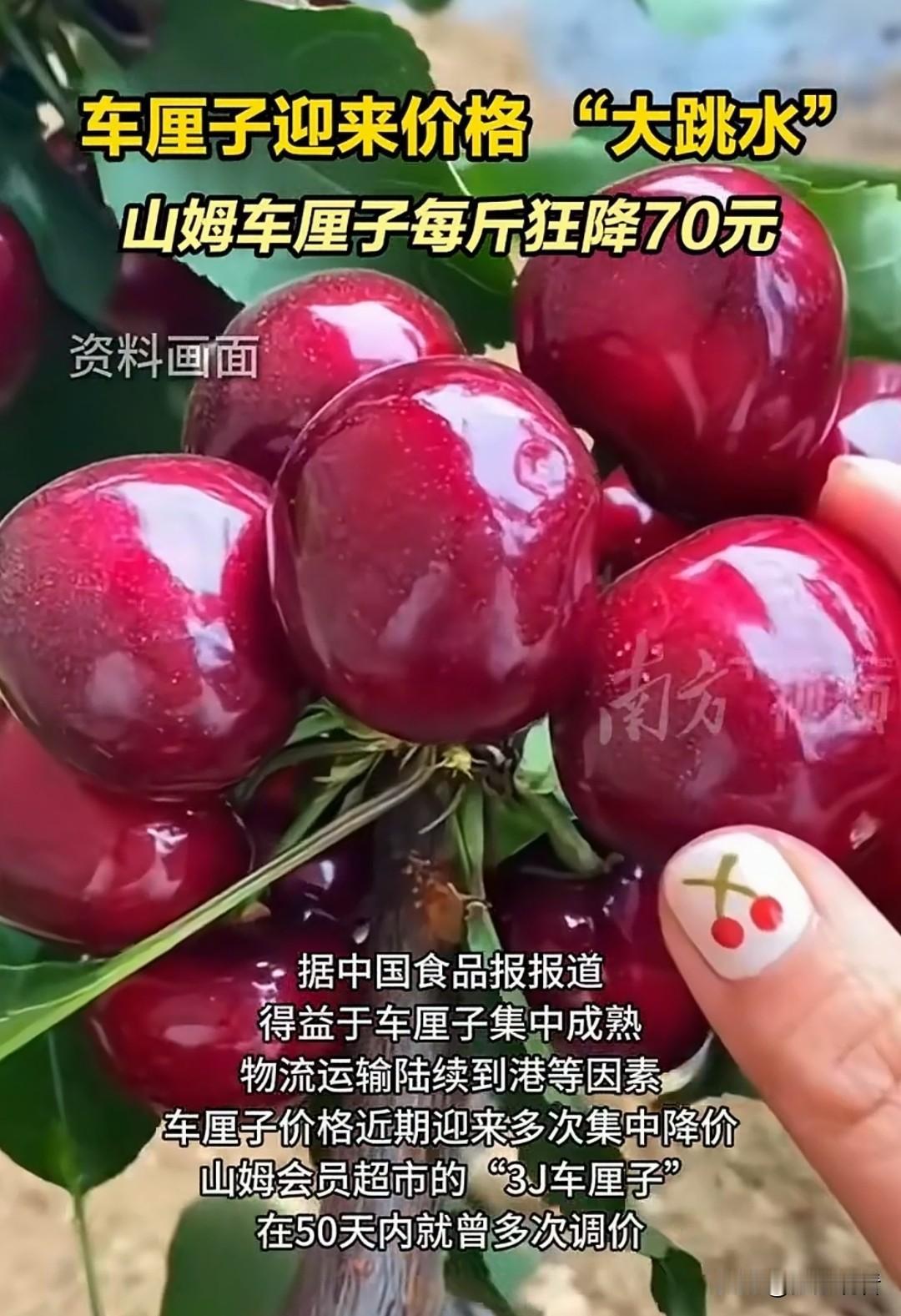 山姆车厘子狂降70元！实现车厘子自由🍒这波车厘子降价真的杀疯了！
 
山姆的3