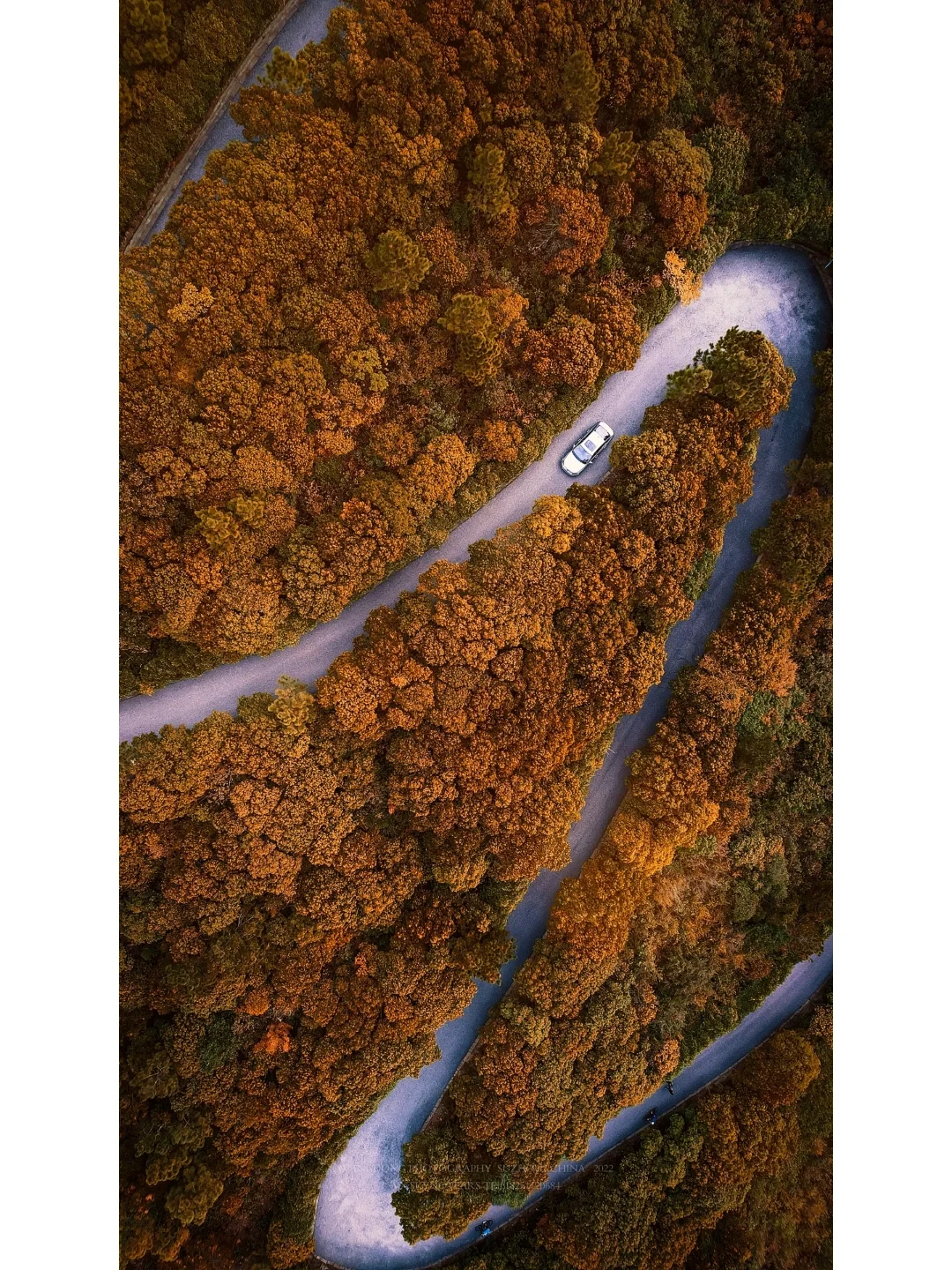 苏州打卡｜苏州醉美盘山公路徒步骑行好去处