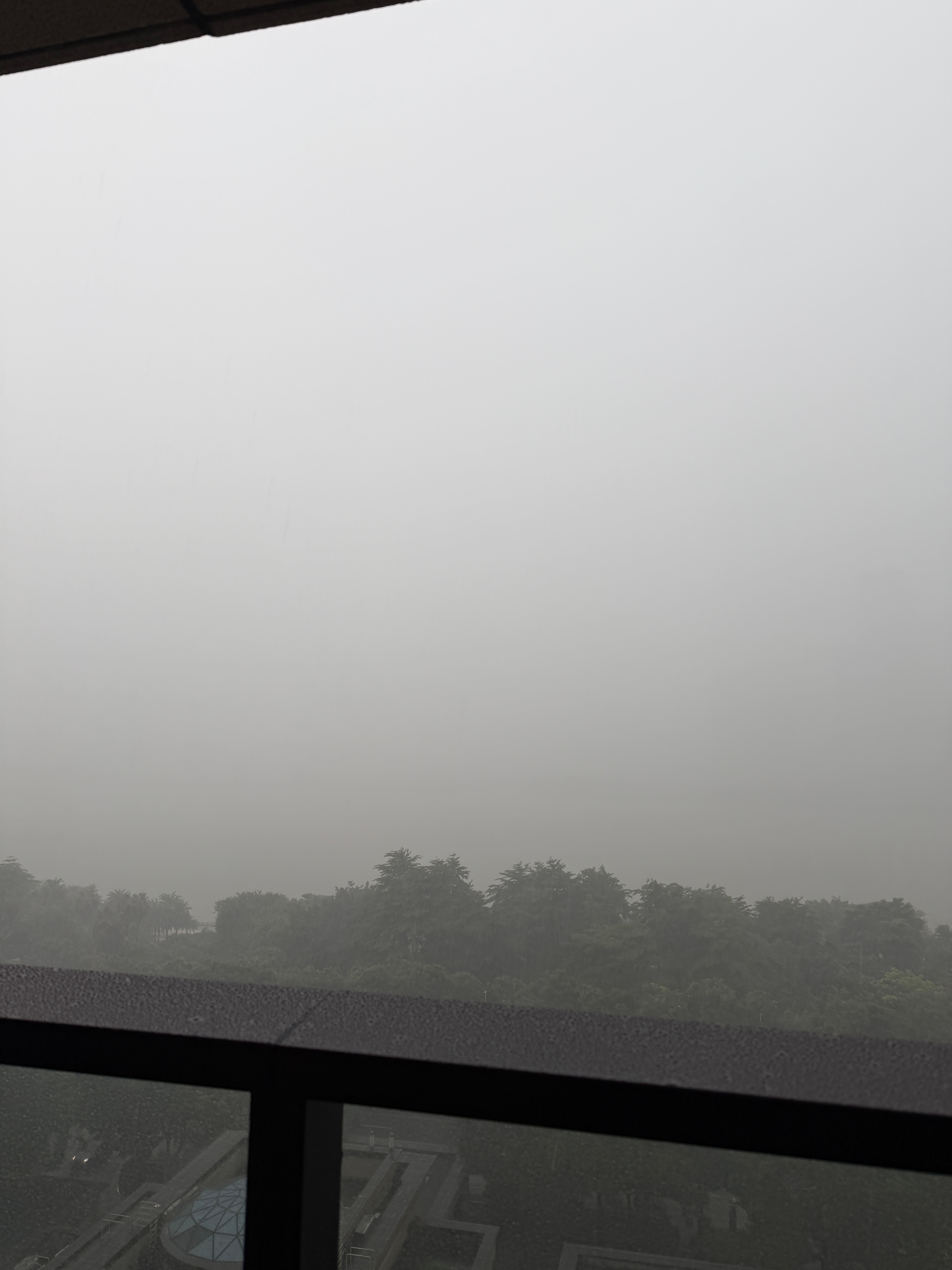 广州现在的天气，就是上一秒晴空万里，下一秒狂风暴雨 ​​​