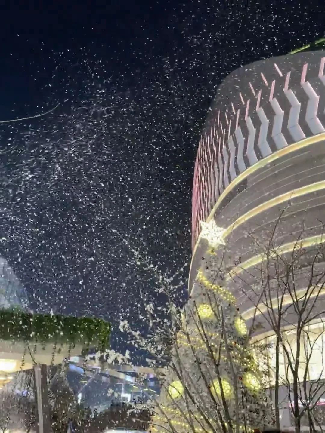 这下真的过圣诞节了❄️❄️