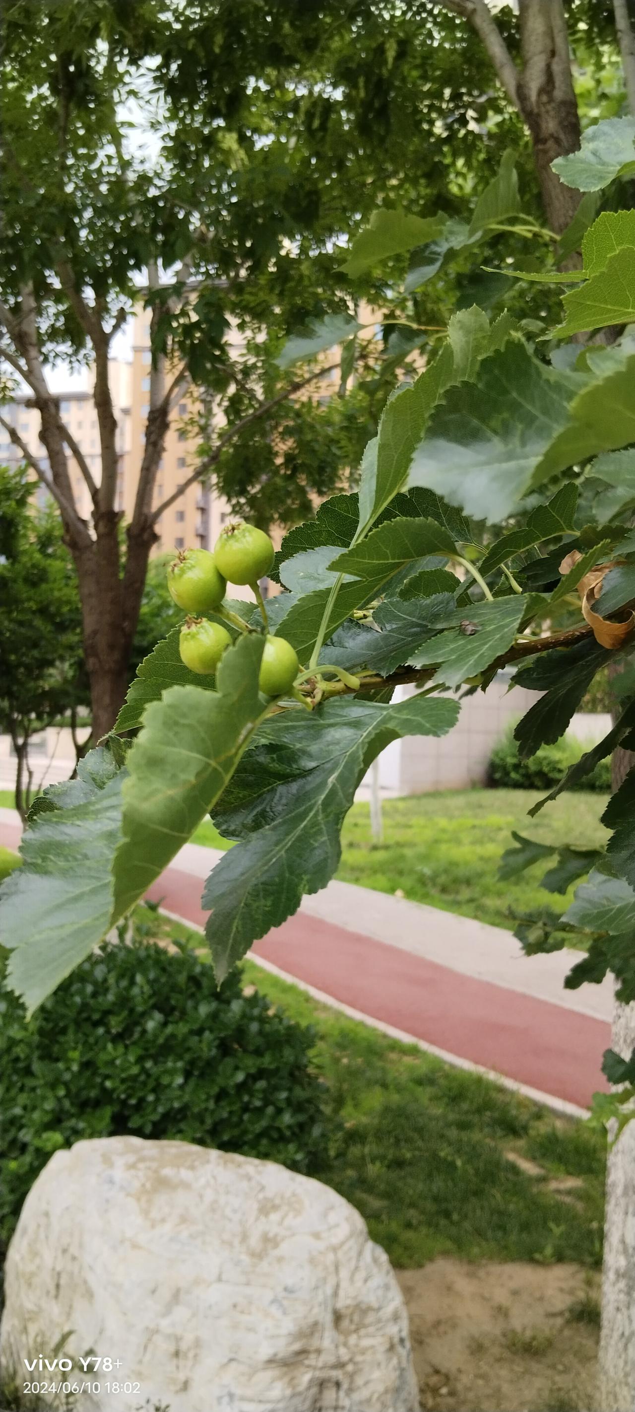 我们这里有一个安装空调的师傅，以前在工厂里打螺丝，对家电维修一窍不通。
他嫌工厂