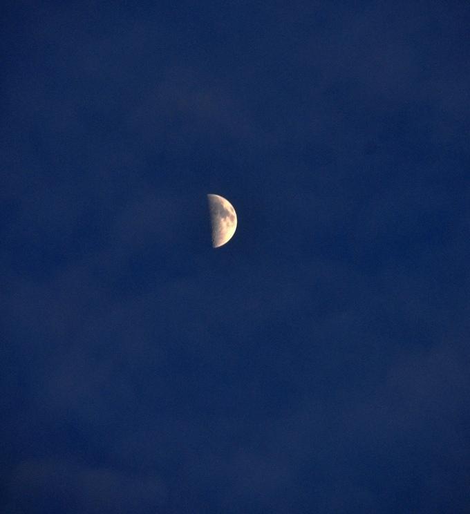 夜饮
呼朋夜欢饮，
归迟赏月弯。
微醺心无扰，
仅剩一片天。

疑何虫不鸣？
不