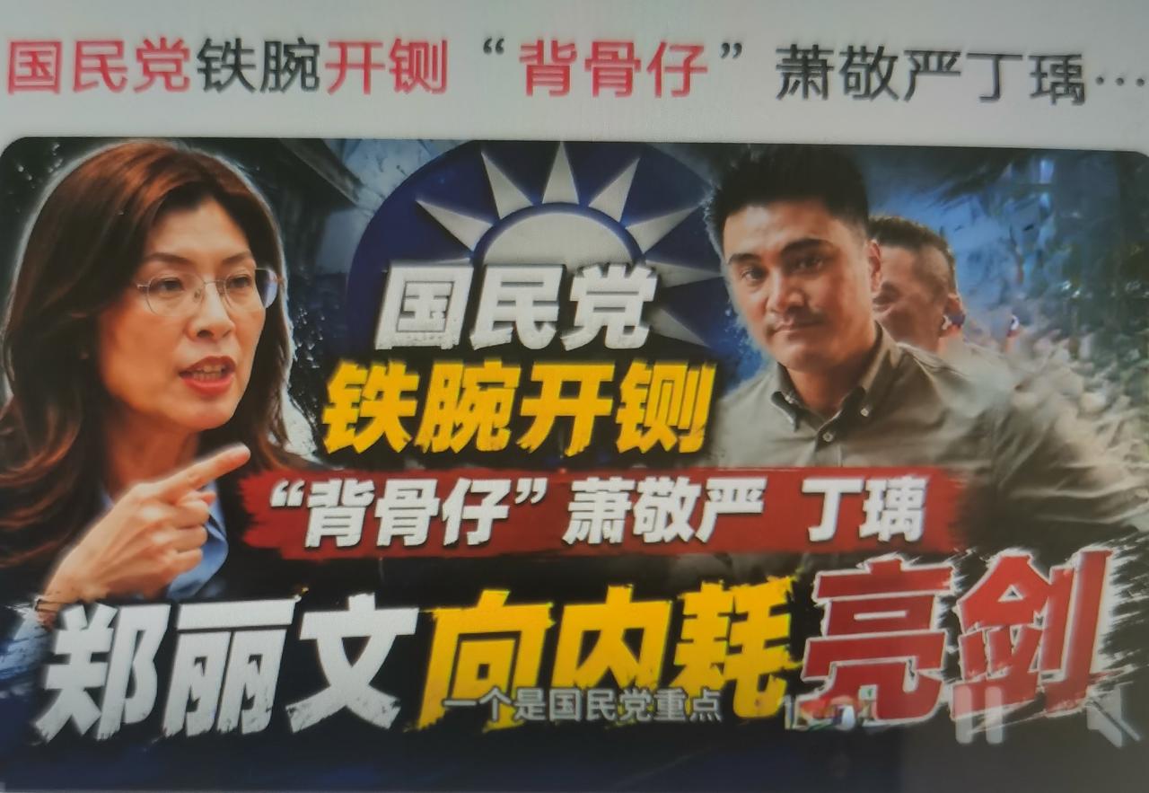 国民党考纪会近期作出处分，前青年部副主任丁瑀直接开除党籍，前青年部主任萧敬严加重